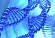Bioinformatic tools for big data on human genome analysis