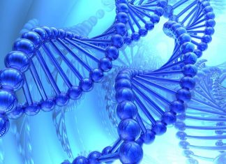 Bioinformatic tools for big data on human genome analysis
