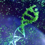 biotechnologie-et-technologies-nbic-et-allongement-de-la-vie2