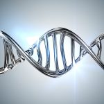 genetique-genomique-epigenetique-technologies-nbic-et-allongement-de-la-vie3
