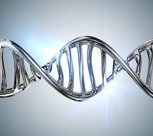 genetics genomics epigenetics nbic technologies life expectancy