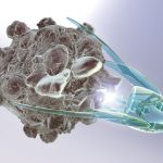 technologies-nbic-nanotechnologies et-allongement-de-la-vie7