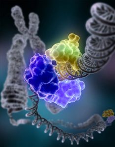 Plateforme microfluidique pour l’étude de mécanismes moléculaires impliqués dans la réparation de l’ADN humain