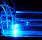 microfluidic-chip-blue-300x143