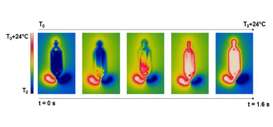 temperature-profile-of-fastgene-microfluidic-chip-thermal-uniformity-of-0-03-c