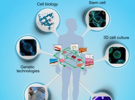 organ-on-chip-microfluidic-research-project featured image