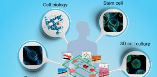 organ-on-chip-microfluidic-research-project featured image