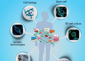 organ-on-chip-microfluidic-research-project featured image