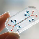 organsonchips