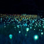 longlonglife-vieillissement-longevite