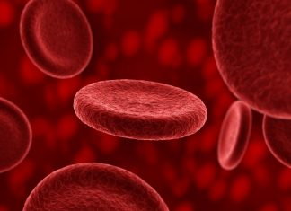 Blood plasma and longevity-Plasma received from young people may have a rejuvenating effect