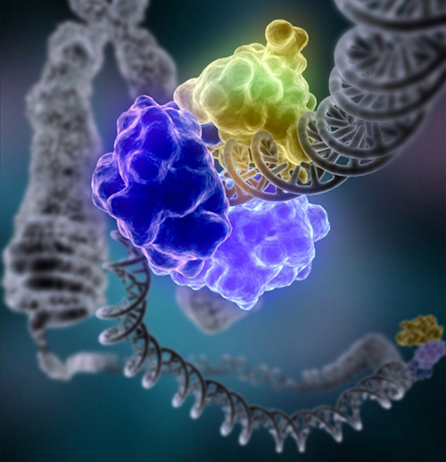 microfluidic-molecular-machines-for-dna