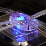 Projet de recherche sur des organes sur puces microfluidiques featured image