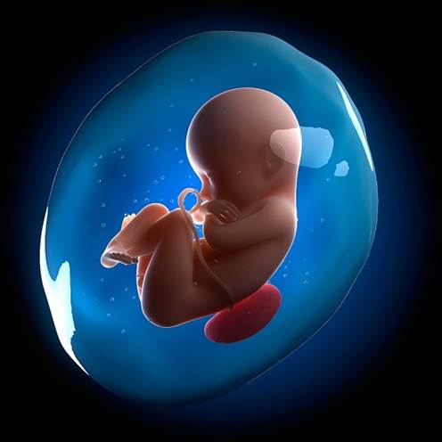 Amniotic fluid, a miracle treatment