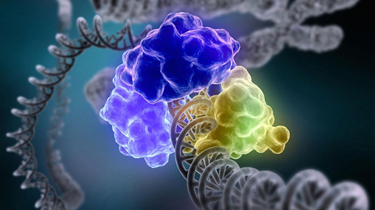 DNA repairing mechanism-NMN longevity