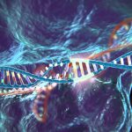 CRISPR-Cas9 vieillissement