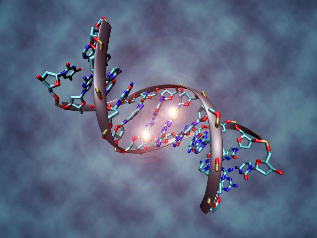 DNA-Methylation-long-long-life
