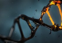 DNA-methylation-long-long-life