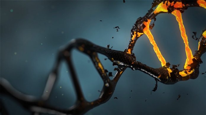 DNA-methylation-long-long-life