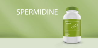 spermidine