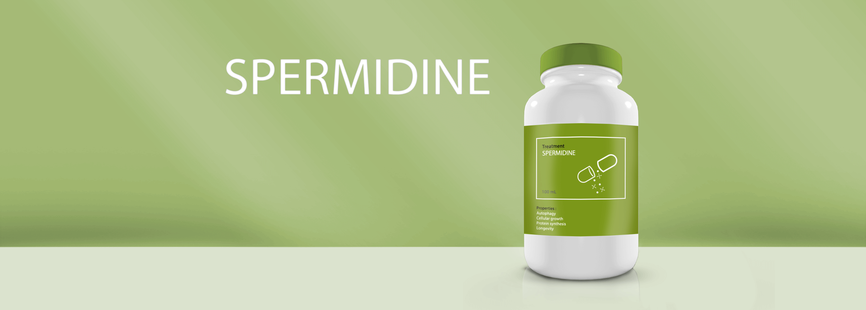 spermidin anti aging