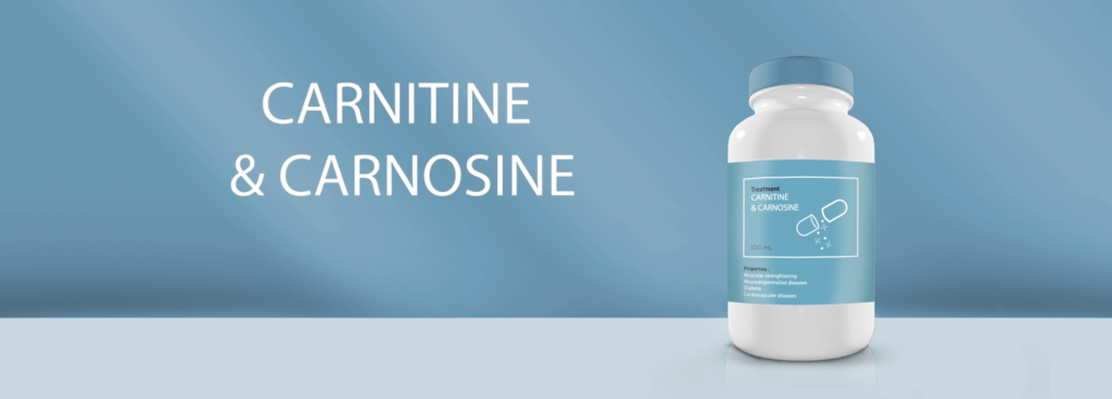 Carnitine & carnosine: anti-Alzheimer's duo - Work for human longevity