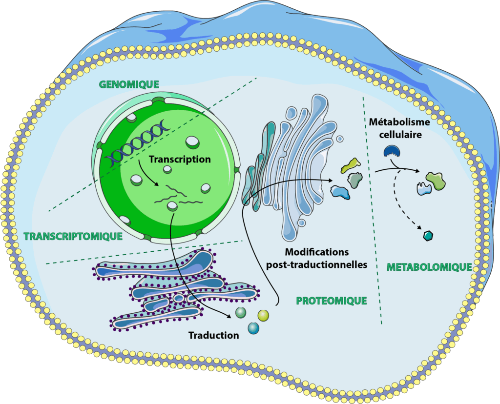 omics