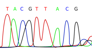 understanding-genomics-anti-aging-research-long-long-life-longevity-transhumanism