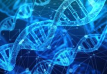 Epigenome-editing-technologie-pour-la-longévité-ADN