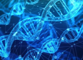 Epigenome-editing-technologie-pour-la-longévité-ADN