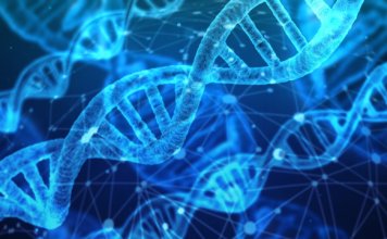 Epigenome-editing-technologie-pour-la-longévité-ADN