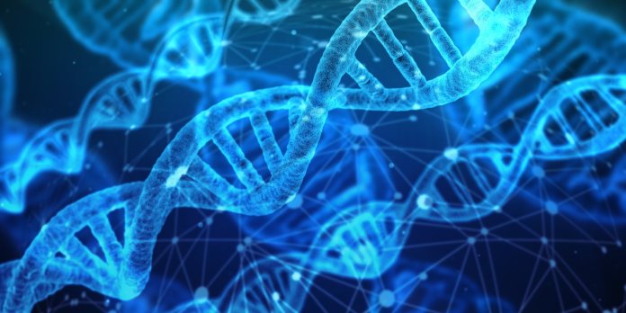 Epigenome-editing-technologie-pour-la-longévité-ADN