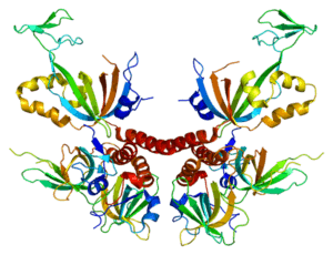 Hack aging with the study of proteomics long long life transhumanism longevity anti aging nbic 1