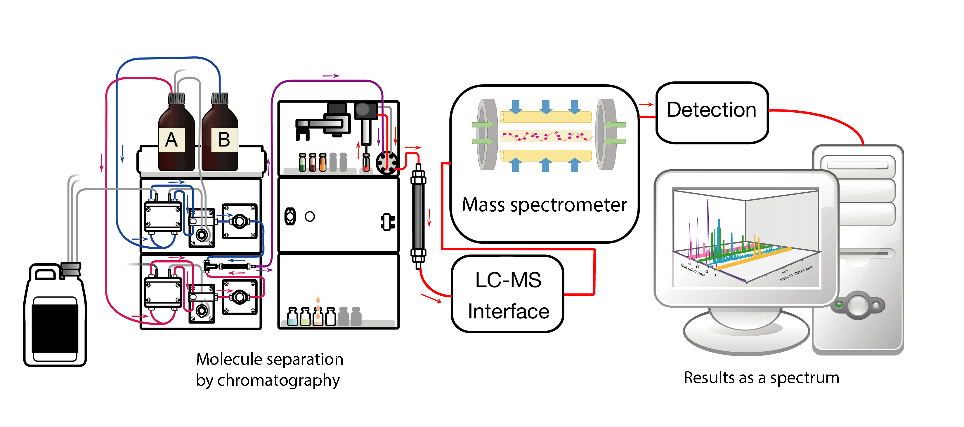 mass spectometer metabolomics omics long long life aging transhumanism longevity