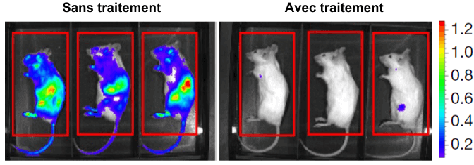 protein-Long-Long-Life-cancer-aging health longevity transhumanism 2