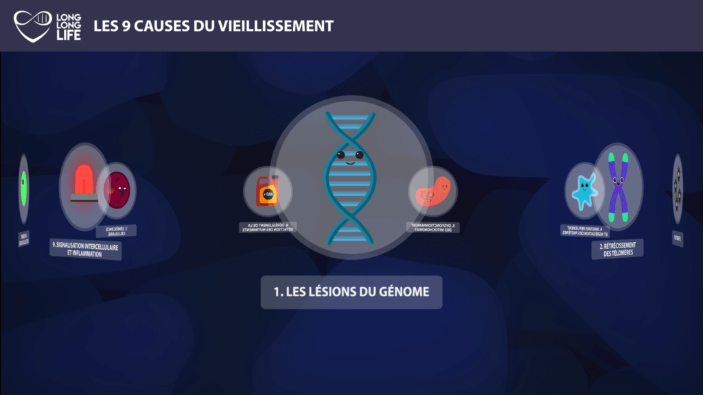 DNA 9 causes of ageing Long Long Life transhumanism presentation of the 9 causes