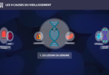 ADN 9 causes du vieillissement Long Long Life longévité transhumanisme présentation des 9 causes