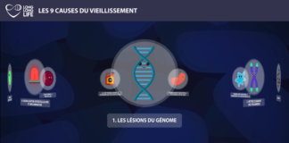 ADN 9 causes du vieillissement Long Long Life longévité transhumanisme présentation des 9 causes