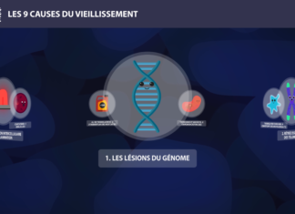 ADN 9 causes du vieillissement Long Long Life longévité transhumanisme présentation des 9 causes