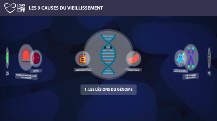 ADN 9 causes du vieillissement Long Long Life longévité transhumanisme présentation des 9 causes