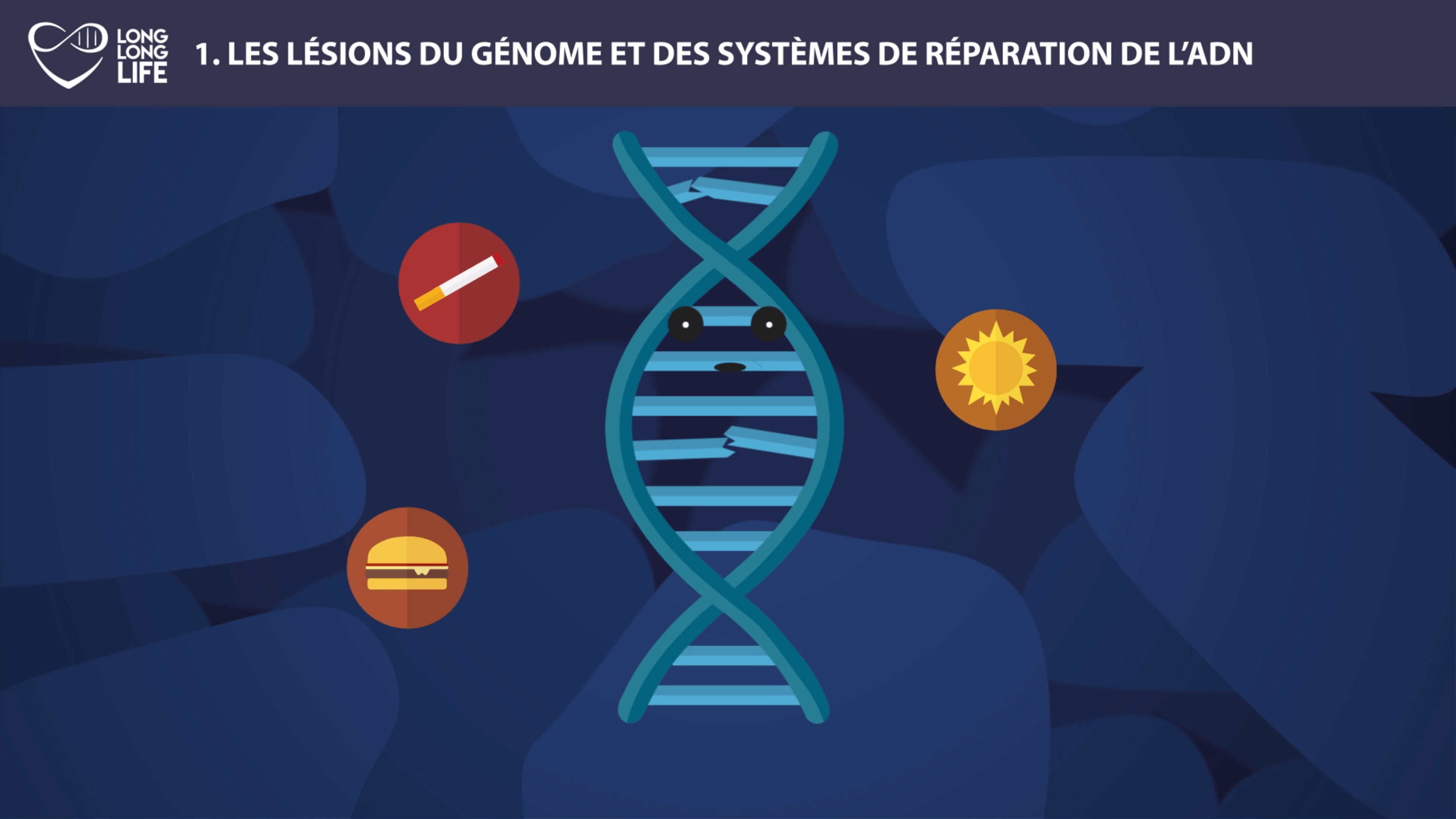 ADN 9 causes du viellissement long long life ADN causes externes longévité transhumanisme