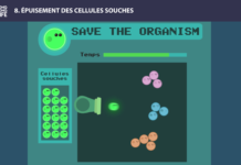 cellules souches long long life transhumanisme longévité vieillissement arcade