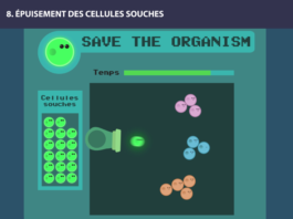 cellules souches long long life transhumanisme longévité vieillissement arcade