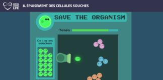 cellules souches long long life transhumanisme longévité vieillissement arcade