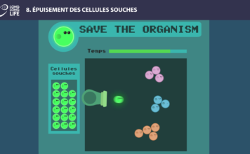 cellules souches long long life transhumanisme longévité vieillissement arcade