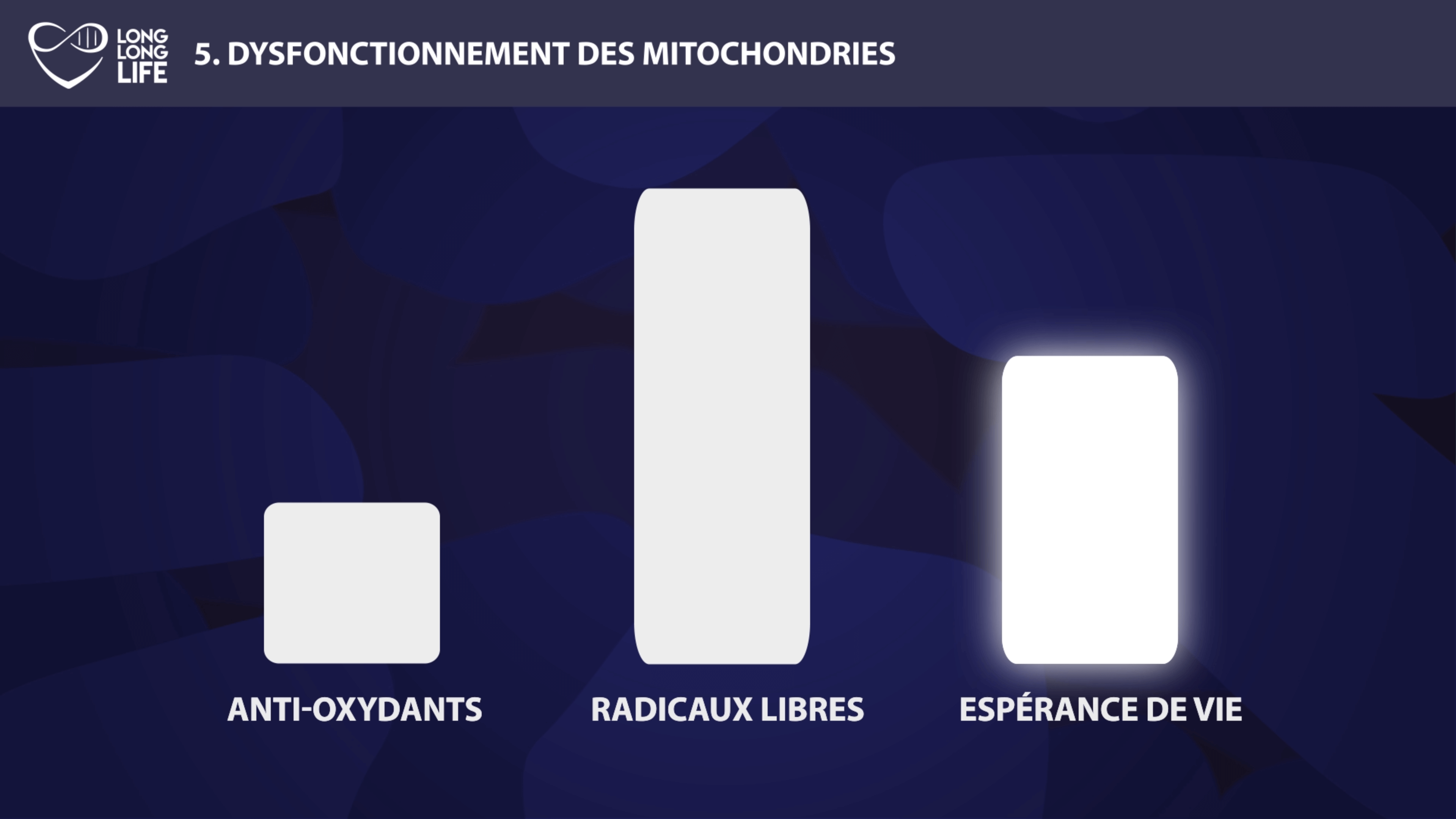 mitochondries long long life longévité transhumanisme vieillissement radicaux libres