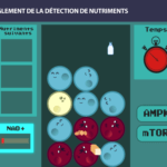 nutriments 1 long long life transhumanisme longévité vieillissement