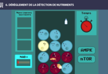 nutriments 1 long long life transhumanisme longévité vieillissement