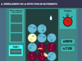 nutriments 1 long long life transhumanisme longévité vieillissement