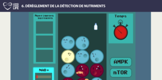 nutriments 1 long long life transhumanisme longévité vieillissement